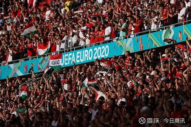 知名裁判马 知名裁判马