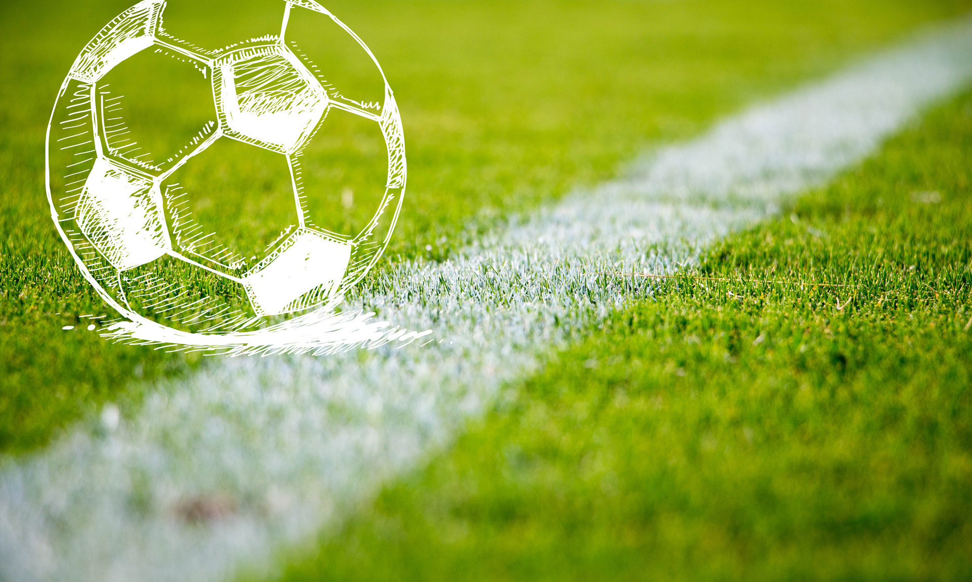 已是不争的 已是不争的