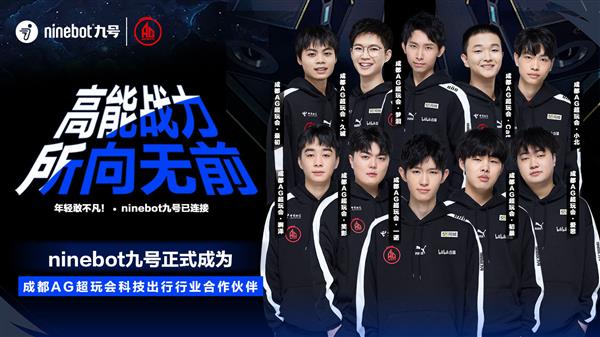 不仅奠定了 不仅奠定了