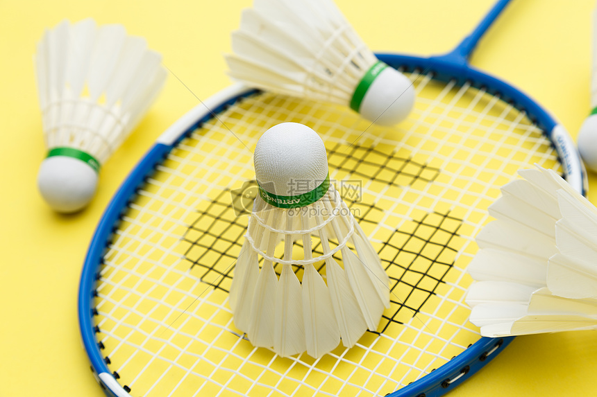 名低矮后卫 名低矮后卫